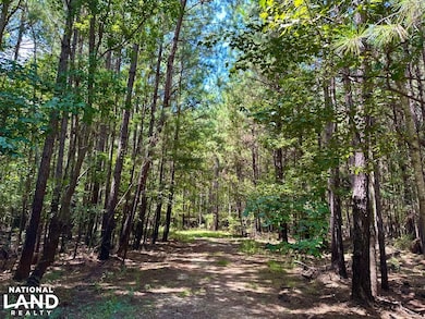 0 Hwy 19 N, Lumber City, GA 31549 - photo 5