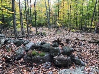 Lot 22-7B Old Pound Rd, Antrim, NH 03440 - photo 4