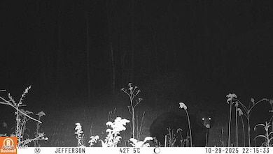 4, 5, 6, 7 Secluded Lake Rd, Newfoundland, PA 18445 - photo 2