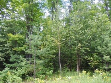 Lot 10 Eagle Waters Rd, Tomahawk, WI 54487 - photo 7