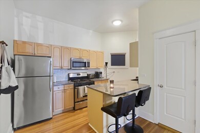 316 Lake St unit 2F, Oak Park, IL 60302 - photo 2