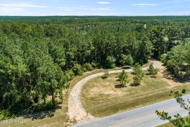 2140 Central Firetower Rd, Lucedale, MS 39452 - photo 4