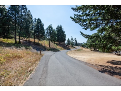 1251 SW Thornton Dr, Whitesalmon, WA 98672 - photo 3