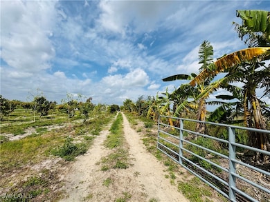 4276 2nd Rd, Labelle, FL 33935 - photo 5