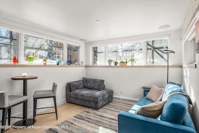 104 W Cooper Ave unit 1A, Aspen, CO 81611 - photo 7