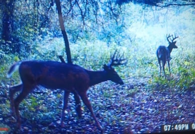 2222 101st Ave, Otsego, MI 49078 - photo 4