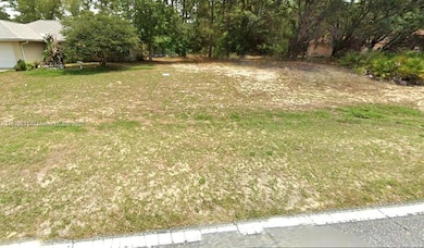 1139 W Hampshire Blvd, Dunnellon, FL 34434 - photo 4