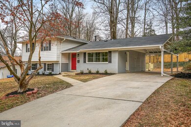 14115 Bauer Dr, Rockville, MD 20853 - photo 3