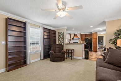 Carpeted living room featuring a textured ceiling,