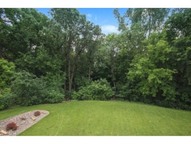 Wooded backyard