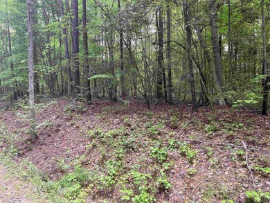 123 Santee Dr, Cypress Creek, NC 27549 - photo 2