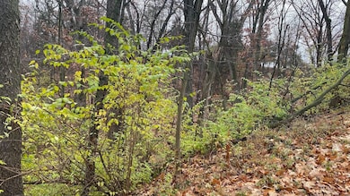 L27-29 Hillside, Wisconsin Dells, WI 53965 - photo 2