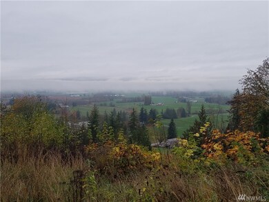 4111 Kamphouse Rd, Sumas, WA 98295 - photo 2