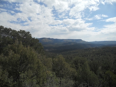 33817 Turkey Creek Ln unit B 67, Trinidad, CO 81082 - photo 3