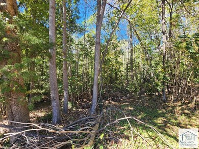 0 Turner Ashby Rd, Chatmoss, VA 24112 - photo 6