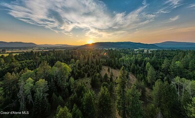 NKA W 50 Acres Peninsula Rd, Priest River, ID 83856 - photo 3