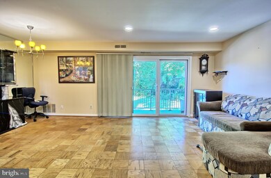 101 Fitz Ct unit 102, Reisterstown, MD 21136 - photo 5