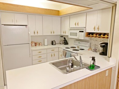Kitchen View 2