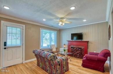 1321 7th Ave, Bristol, TN 37620 - photo 5