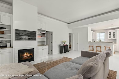 Living and Kitchen view