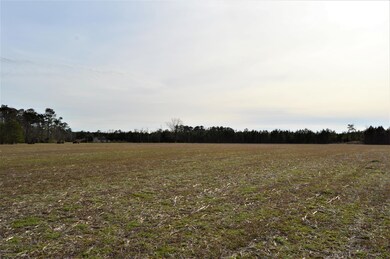 field 4
