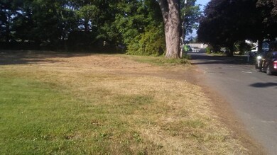 3 Morgan Ave, Westfield, MA 01085 - photo 5