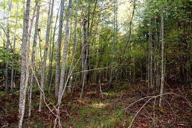 20171006235055650416000000-o