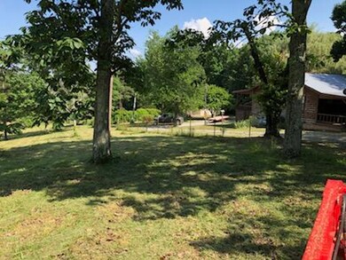 IMG_0604