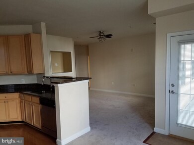 22641 Blue Elder Terrace unit 102, Ashburn, VA 20148 - photo 4