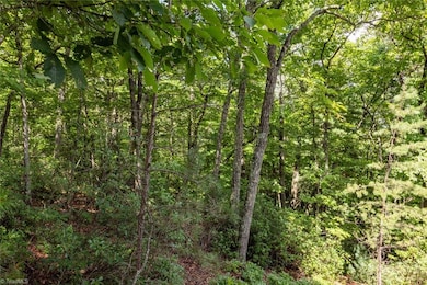 Lot 158 Carriage House Trail, McGrady, NC 28649 - photo 6