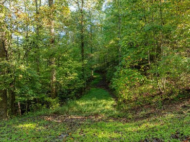 Lot 18 Wilderness Way, Ellijay, GA 30536 - photo 5