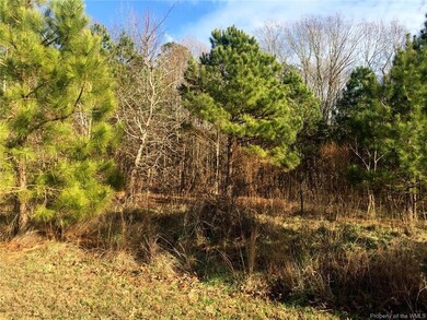 6009 New Wilkinson Way, Williamsburg, VA 23188 - photo 2