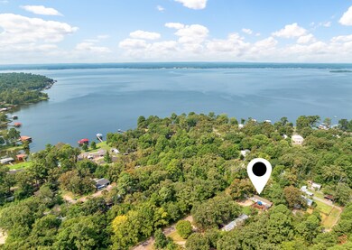 16964 Pine Trail Dr, Flint, TX 75762 - photo 5