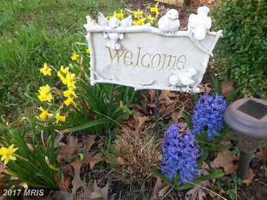 3711 Mazewood Ln, Fairfax, VA 22033 - photo 2