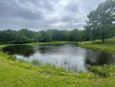 IMG_1307