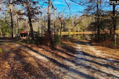 1679 McCreight Rd, Ridge Spring, SC 29129 - photo 6