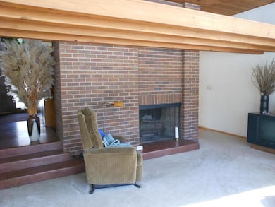 living room wood burning fire place