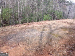 6 Wolf attachment1706368126109 (003)