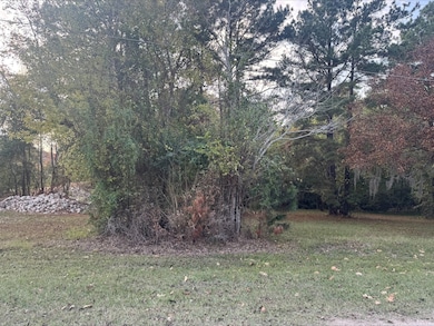 0 Silver Hickory Dr unit 50047653, Coldspring, TX 77331 - photo 2