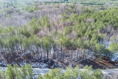 Lot 57 Spokelay Rd, Spencer, TN 38585 - photo 3