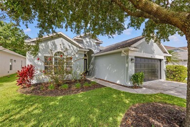 9821 Jasmine Brook Cir, Land O Lakes, FL 34638 - photo 5