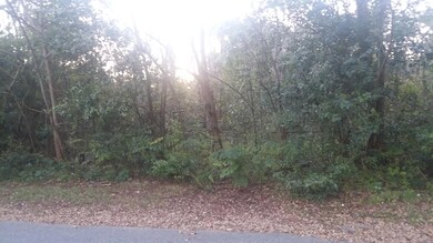 0 Cemetery Rd unit 981377, Jacksonville, FL 32210 - photo 2