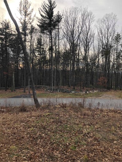 5 Whitetail Ridge unit 4A-23-13, Merrimack, NH 03054 - photo 2