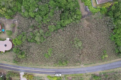 0 Kaulua Cir unit 723532, Naalehu, HI 96772 - photo 3