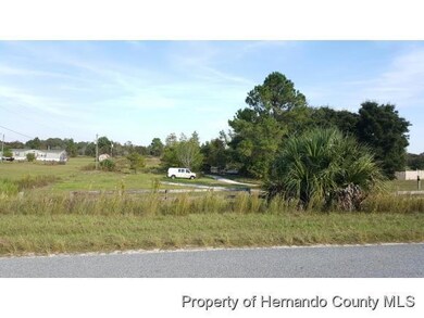 11216 Eskimo Curlew Rd, Weeki Wachee, FL 34614 - photo 3