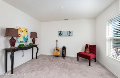 788 Isar Ave NW, Palm Bay, FL 32907 - photo 5