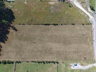 465 Lucius Marcantel Rd, Dequincy, LA 70633 - photo 4