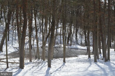 1979 Knobley Rd, Maysville, WV 26833 - photo 3