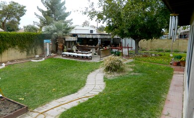 Large Back Yard