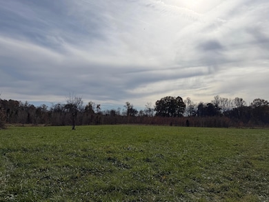 2505 Strawhill Rd SE, Cleveland, TN 37323 - photo 4